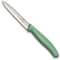 Swiss Army Brands 2022 Victorinox Swiss Classic Paring Knife Set - Fresh Energy VIC-6.7116.L20 - alternate 2